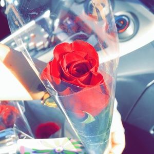 Meet your Posher, Ramanpreet